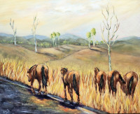 /album/photo-gallery-abstract-art/horses-in-outback-qld-jpg/